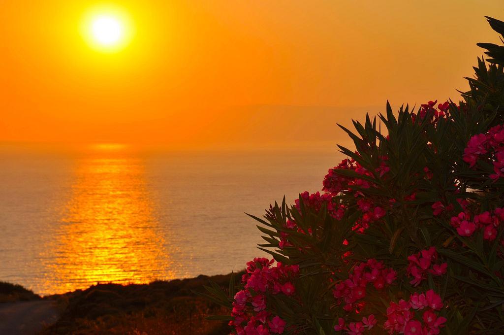 Golden Sun Hotel Grikos Bay  Exterior photo